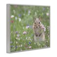 thumbnail image 4 of Stupell Industries Chipmunk Picking Flowers Animals & Insects Painting Gray Framed Art Print Wall Art, 20 x 16, 4 of 10