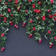 thumbnail image 4 of Artificial Flowers Vine Rose Fake Flowers Rattan String Hanging Home Wedding Garden Decor(Pink), 4 of 7