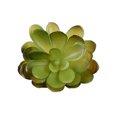 thumbnail image 4 of 10x Fake Succulents Small Vivid Useful Simulated Plants Multi-functional Lifelike Photo Props for Household Yards Lawn Flowerpot Type 39, 4 of 9