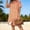 Orange, variant on asdoklhq Cocktail Dresses for Women Maxi Dresses Women's Fashionable Striped Loose Short-sleeved Resort Shirt Dress Women's Dress Blue L
