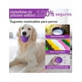 thumbnail image 2 of Pelota Para Perro Juguete Interactivo Chirriante Xtellar morado, 2 of 4