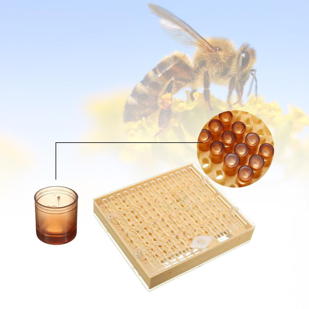 131pcs Bee Queen Rearing Cupkit Box System Beekeeping Cage Cell Cup Kit 