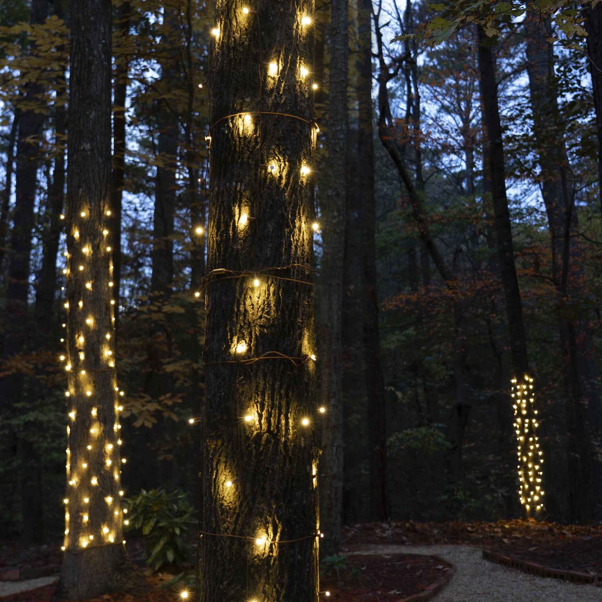 StretchNet Pro Expandable Warm White Trunk Wrap Lights Christmas Net Lights, Tree Wrap Lights (50 Lights, 20" x 45" Net, Brown Wire)