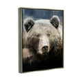 thumbnail image 4 of Stupell Industries Grizzly Bear Face Portrait Animals & Insects Painting Gray Floater Framed Canvas Art Print Wall Art, 25 x 31, 4 of 10