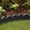 Black, variant on GroundSmart SmartLoc Scallop Landscape Edging, 4' Black Rubber Garden Edging Border, 4 pack