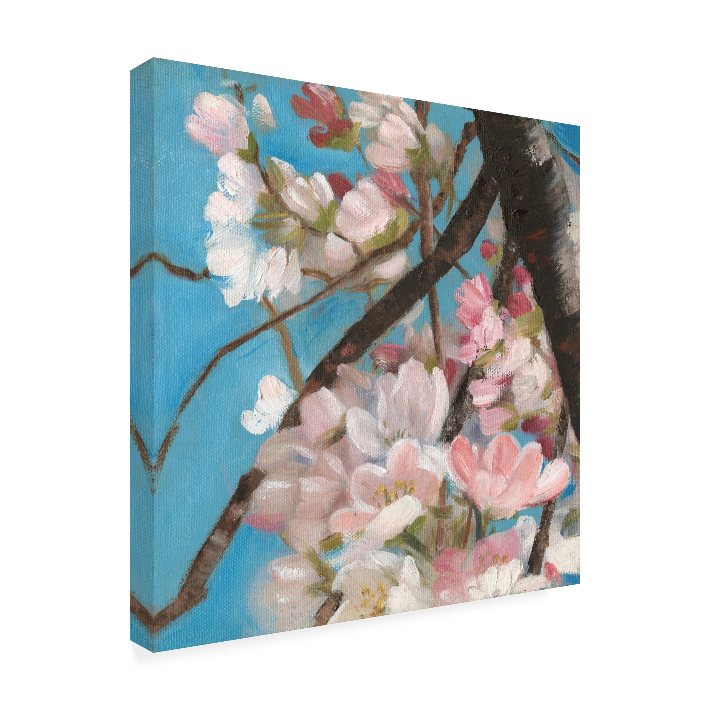 Sandra Iafrate 'Cherry Blossoms II' Canvas Art