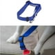 thumbnail image 1 of Clip para Correa de Cinturón de Seguridad Del Vehículo para Perro Mascota Xihbxyly, 1 of 4