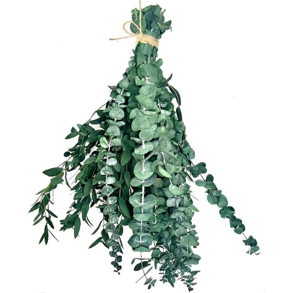 16 Stems Dried Eucalyptus for Shower Hanging, 17'' Preserved Real Fresh Eucalyptus Leaves, Shower Plant, Home Decor and DIY Crafts