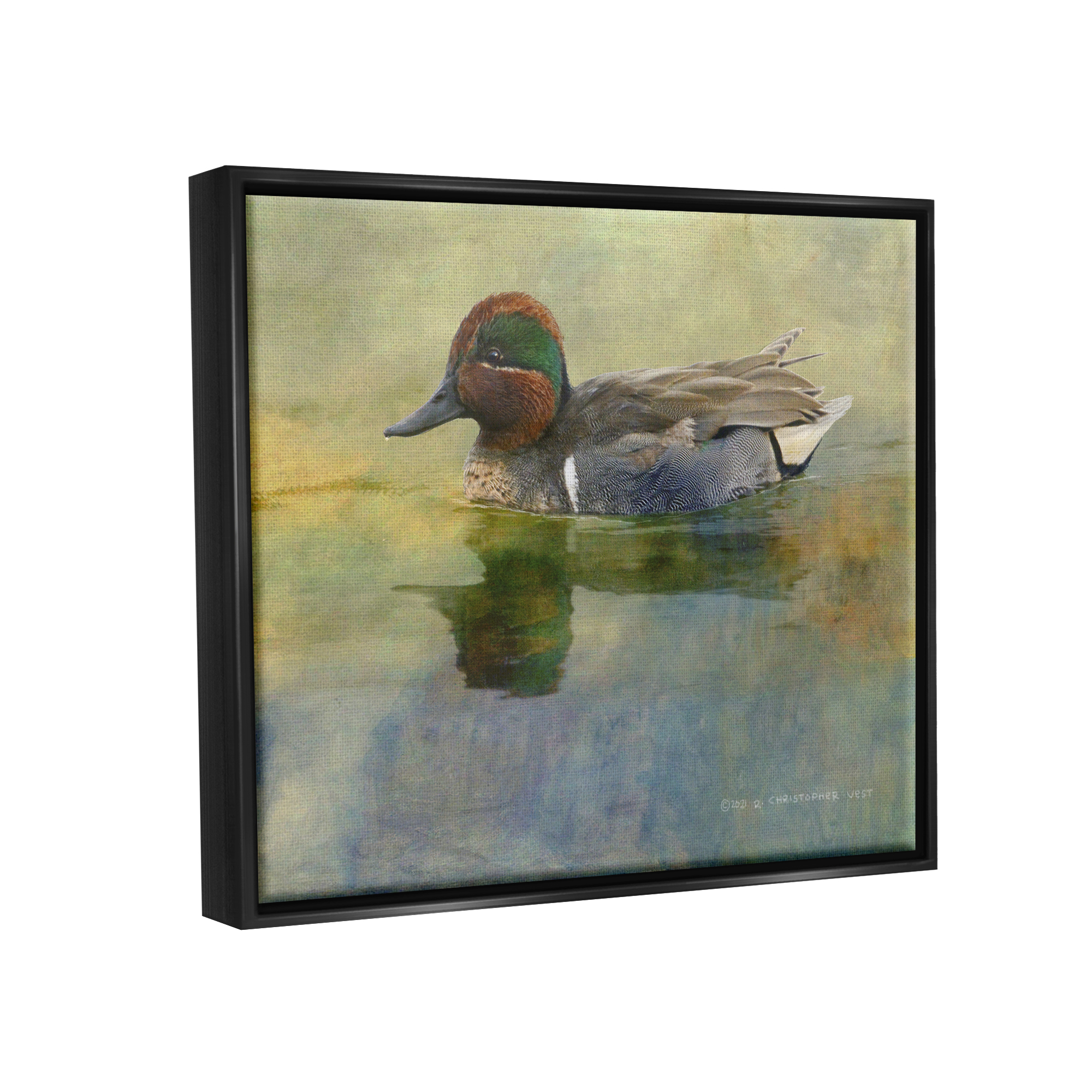Stupell Wild Duck Nature Pond Wildlife Animals & Insects Photography Black Floater Framed Art Print Wall Art