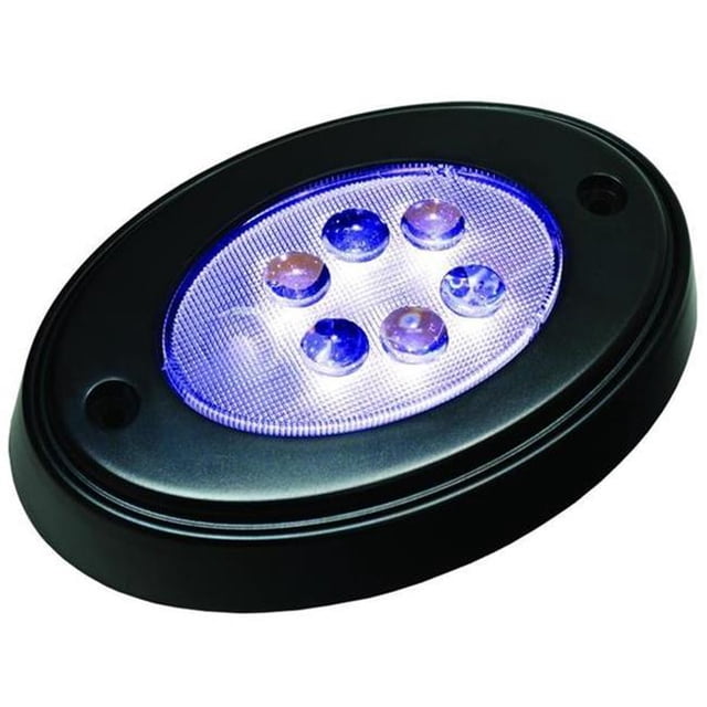 Oval Courtesy Light with Mounting Ring, Black