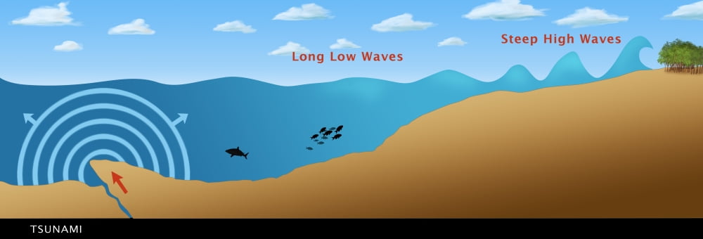 Underwater Earthquake and Tsunami Stretched Canvas - Monica