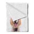 thumbnail image 2 of Golden Retriever Soft Flannel Fleece Throw Blanket, 2 Emotional Poses of a Young Panting Domestic Puppy Happy and Playful, Cozy Plush for Indoor and Outdoor Use, 50" x 60", Multicolor, by Ambesonne, 2 of 5