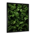 thumbnail image 2 of Designart "Peppermint Breeze of Herbs II" Floral Framed Wall Art - Traditional Green Herbs Hallway Framed Wall Art Decor, 2 of 6