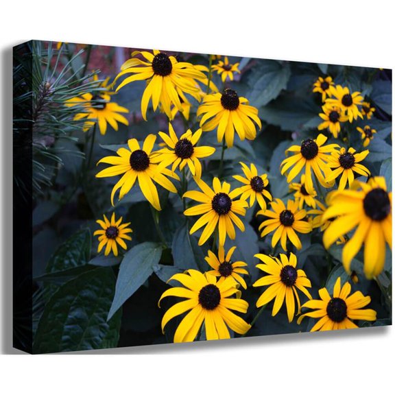 Baker "Bunch of Daisies" Canvas Print