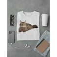 thumbnail image 3 of Tabby Cat Looking At Camera T-Shirt Men -Image by Shutterstock, Male 4X-Large, 3 of 4