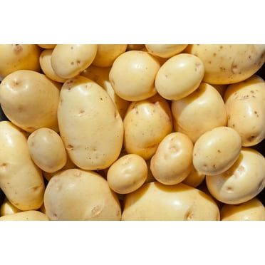 Yukon Gold Seed Potatos for Planting - Easy to Grow (5 Pounds)