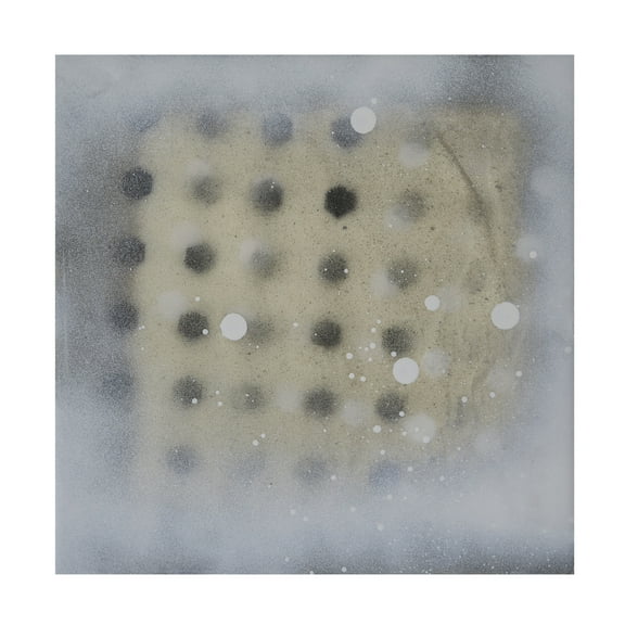 Trademark Fine Art Erin McGee Ferrell  Polka Squares II Canvas Wall Art