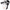 Black/White/Gray, variant on Pair of Thieves Blackout/Whiteout Cushion No-Show Sock Men's 3-Pack