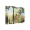 thumbnail image 2 of Trademark Fine Art 'Aspen Reverie' Canvas Art by Julia Purinton, 2 of 3