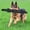black, variant on Dog Training Bite Stick Double Handle Interactive Toy Teeth Grinding Dog Training Stick Pet Dog Training Jute Sleeve Dog Toys