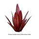 thumbnail image 3 of FLhrweasw Estatua Planta Arte Patio Hierro Decoraciones Jardín Agave Estacas para Del (rojo 27CM), 3 of 7