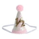 thumbnail image 1 of 1 sombrero creativo de cumpleaños para niños, tocado para fiesta de cumpleaños, accesorio para disparar., 1 of 5