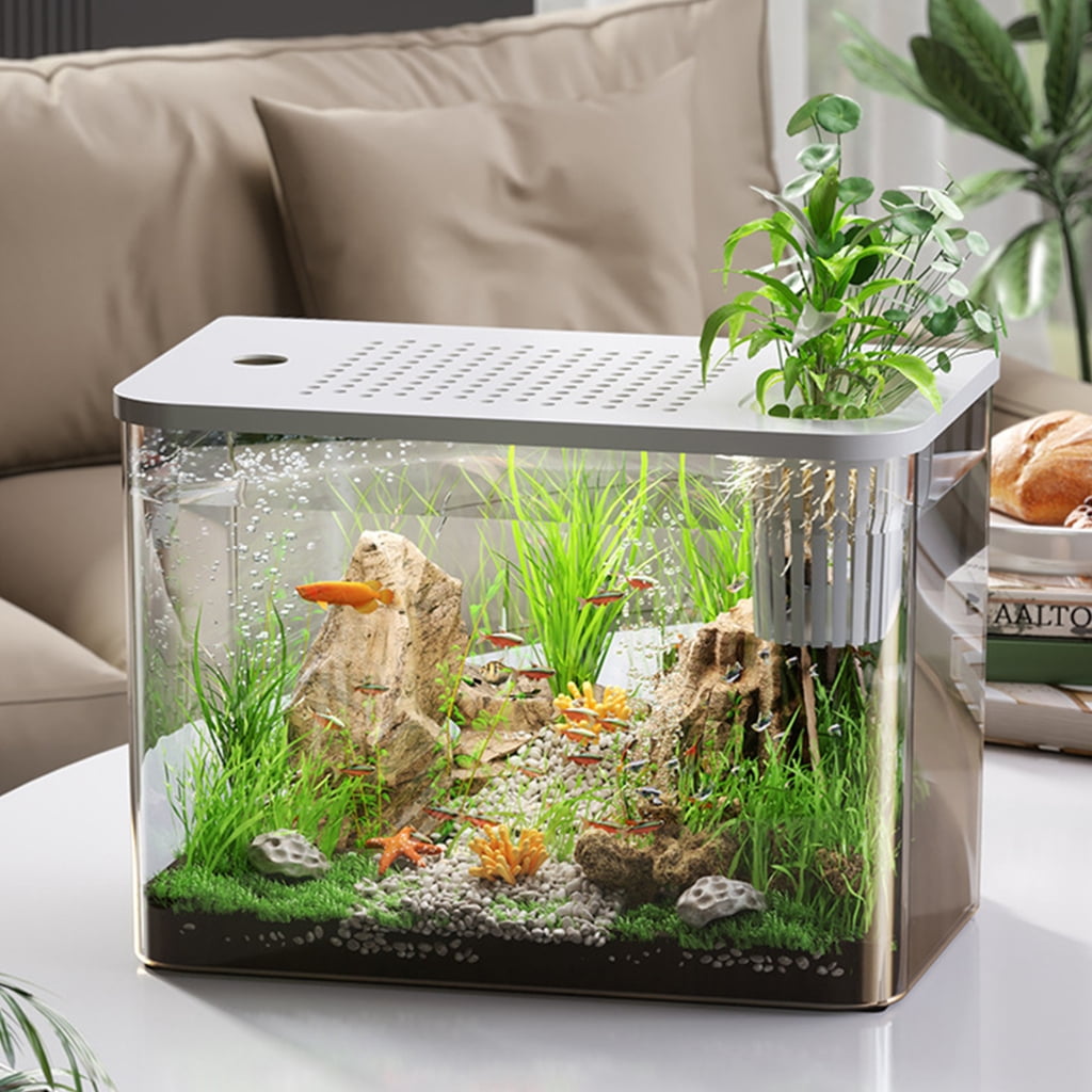 Tizuqe Scratch Resistant Clear Water Tanks Fish Bowl With Spillprevent Lid Plant Holder