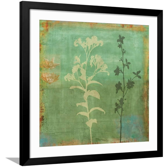 Art.com Eco-friendly II Art Print by Chris Donovan, Black Frame Wall Art, 38" x 38"