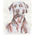 thumbnail image 2 of Wang, Melissa 12x14 White Modern Wood Framed Museum Art Print Titled - Sitting Dog I, 2 of 4