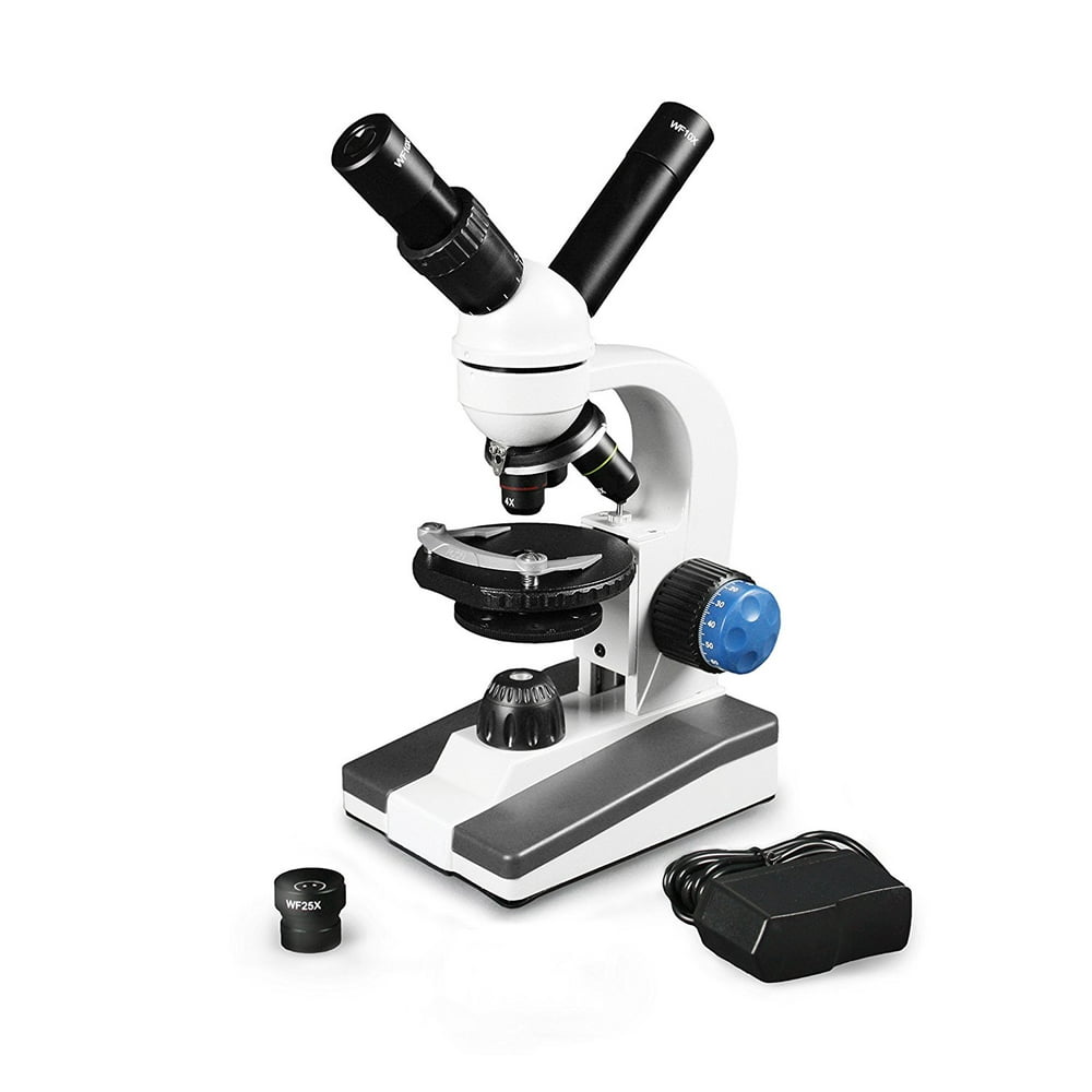 Vision Scientific Dual View Elementary Level Compound Microscope, 10x