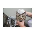 thumbnail image 3 of Cute Gray Cat Bath Canvas Wall Art for Home Decor Ready-to-Hang, 3 of 18