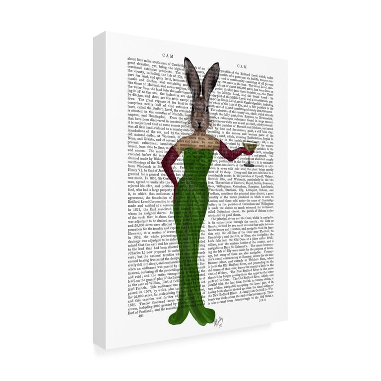 Trademark Fine Art 'Rabbit Green Dress' Canvas Art by Fab Funky