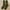 Army Green, variant on FADAACAI Crew Socks for Women,Solid Color Stacked Socks Wind Loose Tube Cotton Socks Fashion Lady Socks,Boot Socks for Women,Fall Socks Women Green A Clearance！