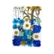 thumbnail image 2 of Flores de hojas prensadas secas reales, margaritas prensadas para joyería artesanal de resina Azul, 2 of 4