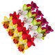 thumbnail image 1 of unbranded 20Ud Clips De De Estilo Luau Para Accesorios Coloridos Para Mujer, 1 of 6