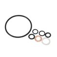 thumbnail image 1 of Oil Change Service Filter and Drain Plug Seal Kit fit All SM6 & SE6 1330 ACE Motor Spyder Engines Fit All SE6/SM6 1330 Spyders, 1 of 5