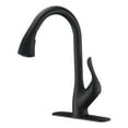 thumbnail image 4 of ANZZI Accent Series Single-Handle Pull-Down Sprayer Kitchen Faucet in Matte Black, 4 of 5