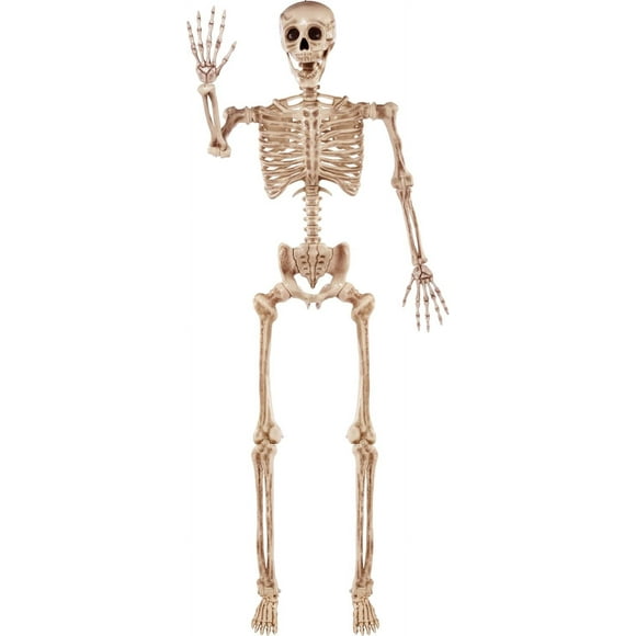 5.6 FT Halloween Posable Life Size Skeleton, Full Body Realistic Bones with Movable Joints, Giant Skeletons Halloween Decorations for Indoor Outdoor Haunted House Props, Spooky Scene Party Decor