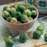 Burpee Catskill Brussels Sprouts Seeds - Heirloom Vegetable Gardening Seeds, 1-Pack