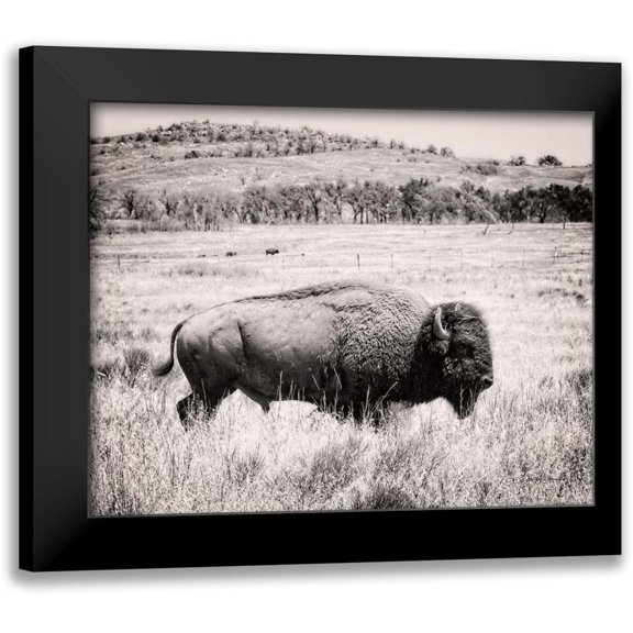 Van Swearingen, Debra 14x12 Black Modern Framed Museum Art Print Titled - Buffalo I BW