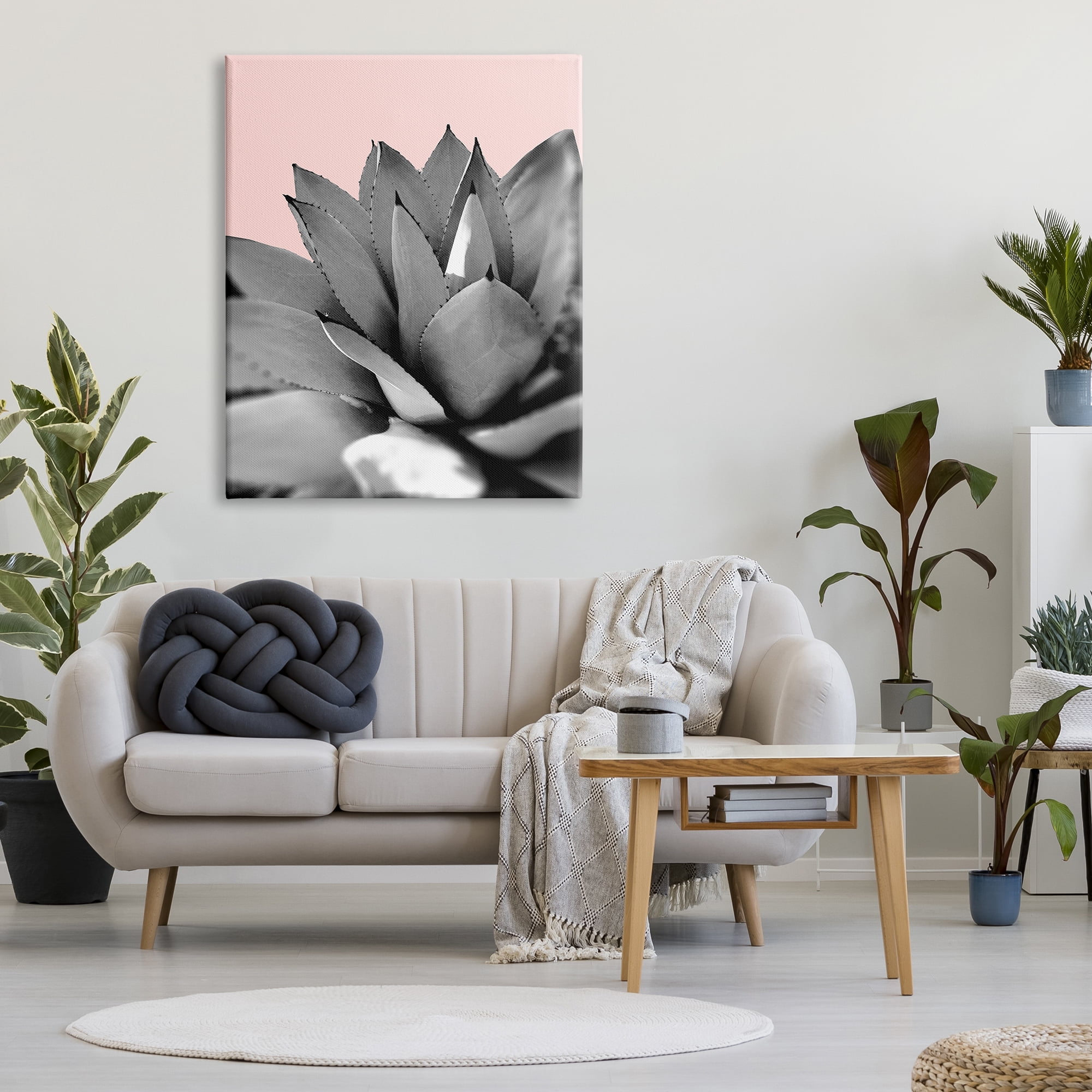 Stupell Industries Modern Succulent Photography Black White Plant over Pink, 36 x 48, Design by Kali Wilson