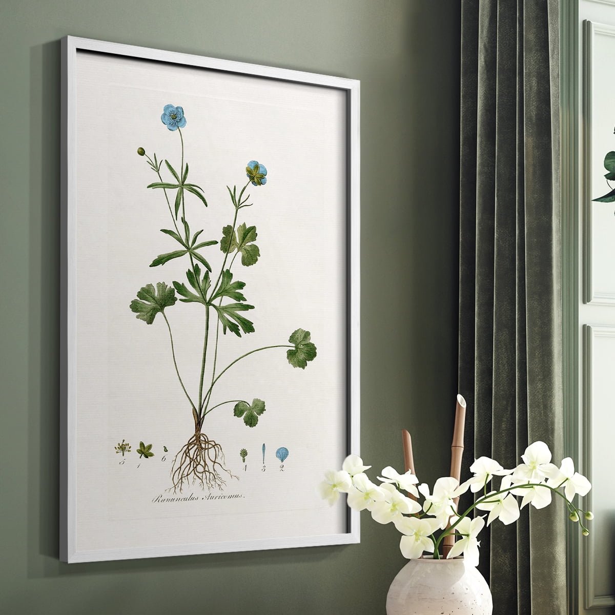 Buttercup Study Framed Print in White Solid Wood Framed Print No Nail Hanging