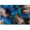 thumbnail image 2 of Peacock Feather Canvas Wall Art For Living room Bedroom Office Landscape Poster Prints Wall Decorations With Framed 18"x12", 2 of 6