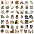 thumbnail image 1 of Binwennn Stickers for Computers for Teen Girls 50 Pieces Of Popular Cat Expressions Sticker Decals For Luggage Pens Guitars Notebooks, 1 of 8