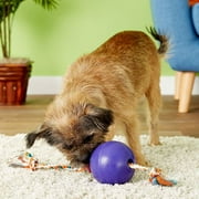 Jolly Pets Romp-n-Roll 4.5 inch Purple Rubber Ball with Rope for Dogs
