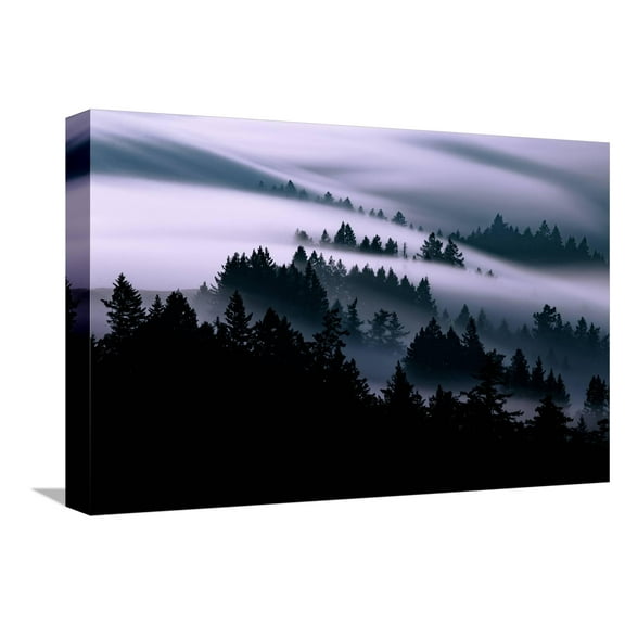 Art.com Ethereal Fog Flow Through The Trees, California Mount Tamalpais Stretched Canvas Print Wall Art by Vincent James, 18" x 12"