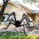thumbnail image 2 of Set de telarañas de Halloween para exteriores JOYIN Spider de 5 pies, 5 x 4,8 m, 2 of 9