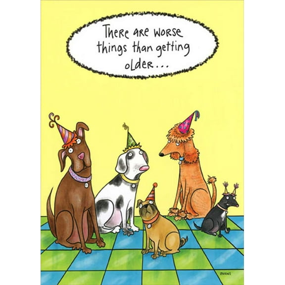 Oatmeal Studios Five Dogs in Party Hats Funny / Humorous Birthday Card