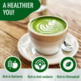 thumbnail image 6 of CAcafe Coconut Matcha and Weight Management Tea Variety 2-Pack, 6 of 8