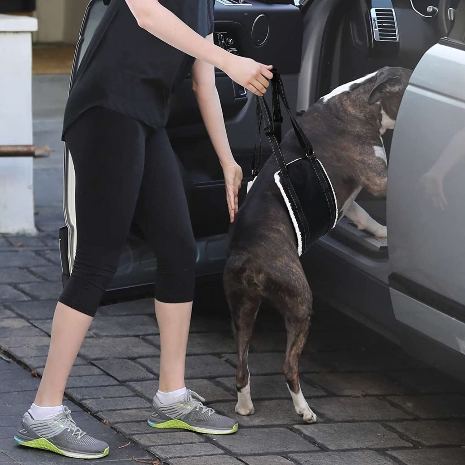Portable Dog Sling for Back Legs Hip Support Harness to Help Lift Dogs Rear for Walmart